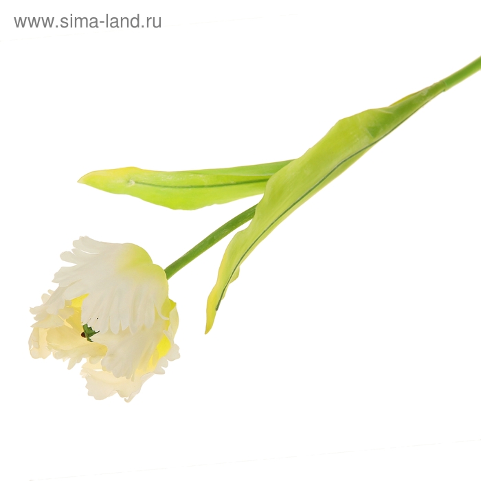 цветы искусственные тюльпан волна 68 см белый - Фото 1