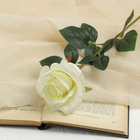 цветы искусственные роза капля 55 см белый - Фото 1