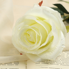 цветы искусственные роза капля 55 см белый - Фото 2