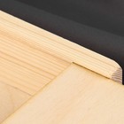 Органайзер для рукоделия «Дракон», деревянный, 1 отделение, 20 × 8 × 4 см - фото 7141478
