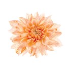 Краситель флористический, для цветов, персиковый, 300 мл - Фото 3