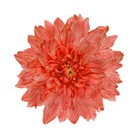 Краситель флористический, для цветов, красный, 300 мл - Фото 3