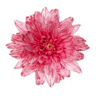 Краситель флористический, для цветов, розовый, 300 мл - Фото 3
