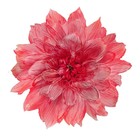 Краситель флористический, для цветов, малиновый, 300 мл - Фото 3