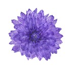 Краситель флористический, для цветов, лавандовый, 300 мл - Фото 3