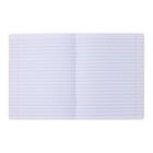 Комплект тетрадей из 10 штук, 24 листа в линию Calligrata "Однотонная Классика с уголком", обложка мелованный картон, ВД-лак, блок офсет, 5 видов по 2 штуки - фото 24442183