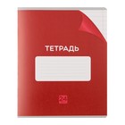 Комплект тетрадей из 10 штук, 24 листа в линию Calligrata "Однотонная Классика с уголком", обложка мелованный картон, ВД-лак, блок офсет, 5 видов по 2 штуки - фото 24442184