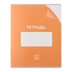 Комплект тетрадей из 10 штук, 24 листа в линию Calligrata "Однотонная Классика с уголком", обложка мелованный картон, ВД-лак, блок офсет, 5 видов по 2 штуки - фото 24442187