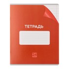 Комплект тетрадей из 10 штук, 24 листа в линию Calligrata "Однотонная Классика с уголком", обложка мелованный картон, ВД-лак, блок офсет, 5 видов по 2 штуки - фото 24442188