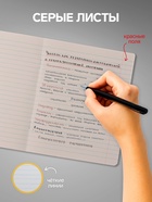 Комплект тетрадей из 10 штук, 18 листов в линию Calligrata "Котятки", обложка мелованная бумага, ВД-лак, блок №2, белизна 75% (серые листы), 5 видов по 2 штуки - фото 24663867