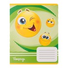 Комплект тетрадей из 10 штук, 18 листов в клетку Calligrata "Смайлики", обложка мелованный картон, ВД-лак, блок офсет 5 видов по 2 штуки - фото 23179225