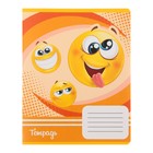 Комплект тетрадей из 10 штук, 18 листов в клетку Calligrata "Смайлики", обложка мелованный картон, ВД-лак, блок офсет 5 видов по 2 штуки - фото 23179227