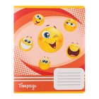 Комплект тетрадей из 10 штук, 18 листов в клетку Calligrata "Смайлики", обложка мелованный картон, ВД-лак, блок офсет 5 видов по 2 штуки - фото 23179228