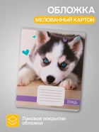 Комплект тетрадей из 10 штук, 18 листов в линию Calligrata "Домашние животные", обложка мелованный картон, ВД-лак, блок офсет, 5 видов по 2 штуки  (артикул 9410126)  большой выбор товаров оптом и в розницу по низким ценам с доставкой