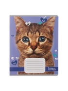 Комплект тетрадей из 10 штук, 18 листов в линию Calligrata "Домашние животные", обложка мелованный картон, ВД-лак, блок офсет, 5 видов по 2 штуки  (артикул 9410126)  большой выбор товаров оптом и в розницу по низким ценам с доставкой