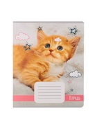 Комплект тетрадей из 10 штук, 18 листов в линию Calligrata "Домашние животные", обложка мелованный картон, ВД-лак, блок офсет, 5 видов по 2 штуки  (артикул 9410126)  большой выбор товаров оптом и в розницу по низким ценам с доставкой