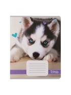 Комплект тетрадей из 10 штук, 18 листов в линию Calligrata "Домашние животные", обложка мелованный картон, ВД-лак, блок офсет, 5 видов по 2 штуки  (артикул 9410126)  большой выбор товаров оптом и в розницу по низким ценам с доставкой