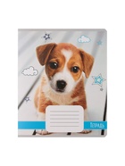 Комплект тетрадей из 10 штук, 18 листов в линию Calligrata "Домашние животные", обложка мелованный картон, ВД-лак, блок офсет, 5 видов по 2 штуки  (артикул 9410126)  большой выбор товаров оптом и в розницу по низким ценам с доставкой