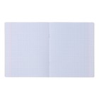 Комплект тетрадей из 10 штук, 24 листа в клетку Calligrata "Лис", обложка мелованный картон, ВД-лак, блок офсет, 5 видов по 2 штуки - фото 24254538