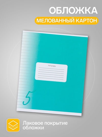 Комплект тетрадей из 10 штук, 24 листа в линию Calligrata «Пятёрка», обложка мелованный картон, ВД-лак, блок офсет, 5 видов по 2 штуки