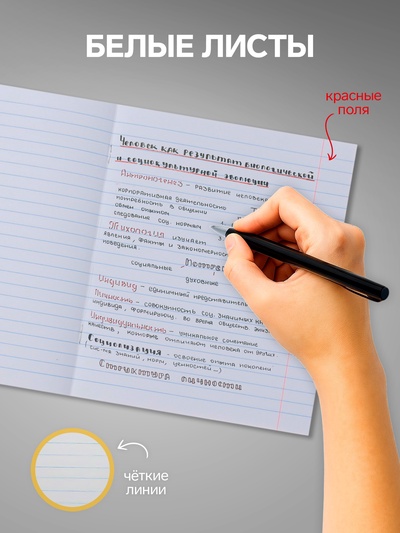 Комплект тетрадей из 10 штук, 24 листа в линию Calligrata «Пятёрка», обложка мелованный картон, ВД-лак, блок офсет, 5 видов по 2 штуки