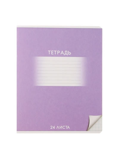 Комплект тетрадей из 10 штук, 24 листа в клетку Calligrata «Школьная», обложка мелованный картон, ВД-лак, блок офсет, 5 видов по 2 штуки