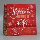 Пакет крафтовый квадратный «Желания», 22 х 22 х 11 см, Новый год (комплект 2 шт) - фото 22624992