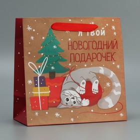 Пакет крафтовый квадратный «Подарочек», 22 × 22 × 11 см