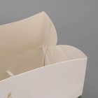 Пакет—коробка «Сказка», 23 × 18 × 11 см - фото 8905894