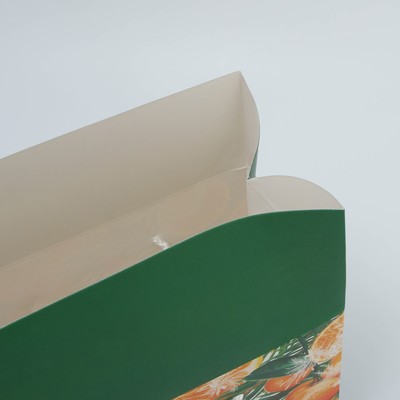 Пакет-коробка подарочный новогодний «С Новым годом», 23×18×11 см