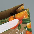 Пакет крафтовый вертикальный «Мандариновое настроение», S 12 × 15 × 5.5 см - Фото 6