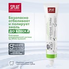 Зубная паста Splat Professional «Лечебные травы», 80 г - Фото 3