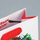 Пакет ламинированный вертикальный «Дракоша», S 12 х 15 х 5.5 см, Новый год (комплект 2 шт) - фото 24254628