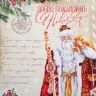 Пакет подарочный новогодний ламинированный «Дедушка Мороз», XXL 46×61×20 см 9564924 - фото 16627090