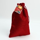 Набор мешков «С Новым годом!», 20 × 30 см - фото 61035234