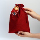 Набор мешков «С Новым годом!», 20 × 30 см - фото 61035236