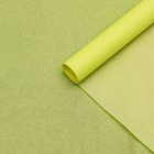 Бумага упаковочная тишью,"Неоновая серия", желтый , 50 см х 66 см - Фото 2