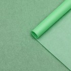 Бумага упаковочная тишью,"Неоновая серия", зелёный , 50 см х 66 см - Фото 2