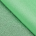Бумага упаковочная тишью,"Неоновая серия", зелёный , 50 см х 66 см - Фото 3