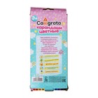 УЦЕНКА Карандаши Calligrata «Принцесса», цветные, 12 цветов, деревянные, шестигранные - Фото 2