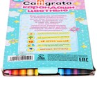 УЦЕНКА Карандаши Calligrata «Принцесса», цветные, 12 цветов, деревянные, шестигранные - Фото 4
