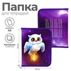 Папка для тетрадей, А5, пластиковая, 18×23×2.5 см «Совушка» - Фото 1