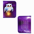 Папка для тетрадей, А5, пластиковая, 18×23×2.5 см «Совушка» - Фото 2