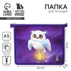 Папка для тетрадей, А5, пластиковая, 19×23×5 см «Совушка» - Фото 1