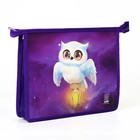 Папка для тетрадей, А5, пластиковая, 19×23×5 см «Совушка» - Фото 2