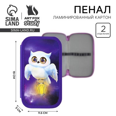 Пенал школьный, 2 секции, 19×10.5 см «Совушка»