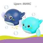 Заводная игрушка для ванны «Китенок», цвет голубой/синий - Фото 4