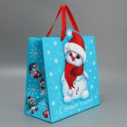 Пакет подарочный «Снеговик», 30 × 30 × 15 см - фото 9042548