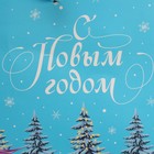 Пакет подарочный новогодний «Дракоша», 22 х 22 х 10 см 9525640 - фото 16411555