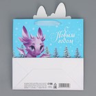 Пакет подарочный новогодний «Дракоша», 22 х 22 х 10 см 9525640 - фото 16411558